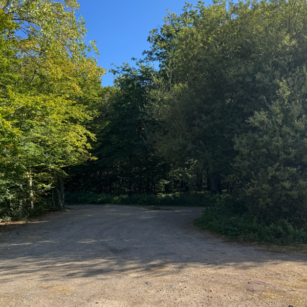 Design sans titre (14)