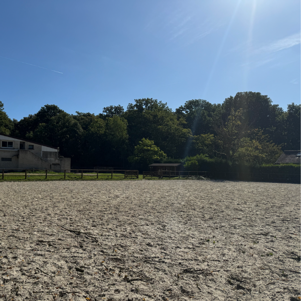 Design sans titre (20)