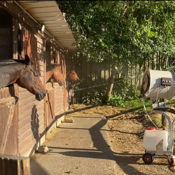 Design sans titre (21)